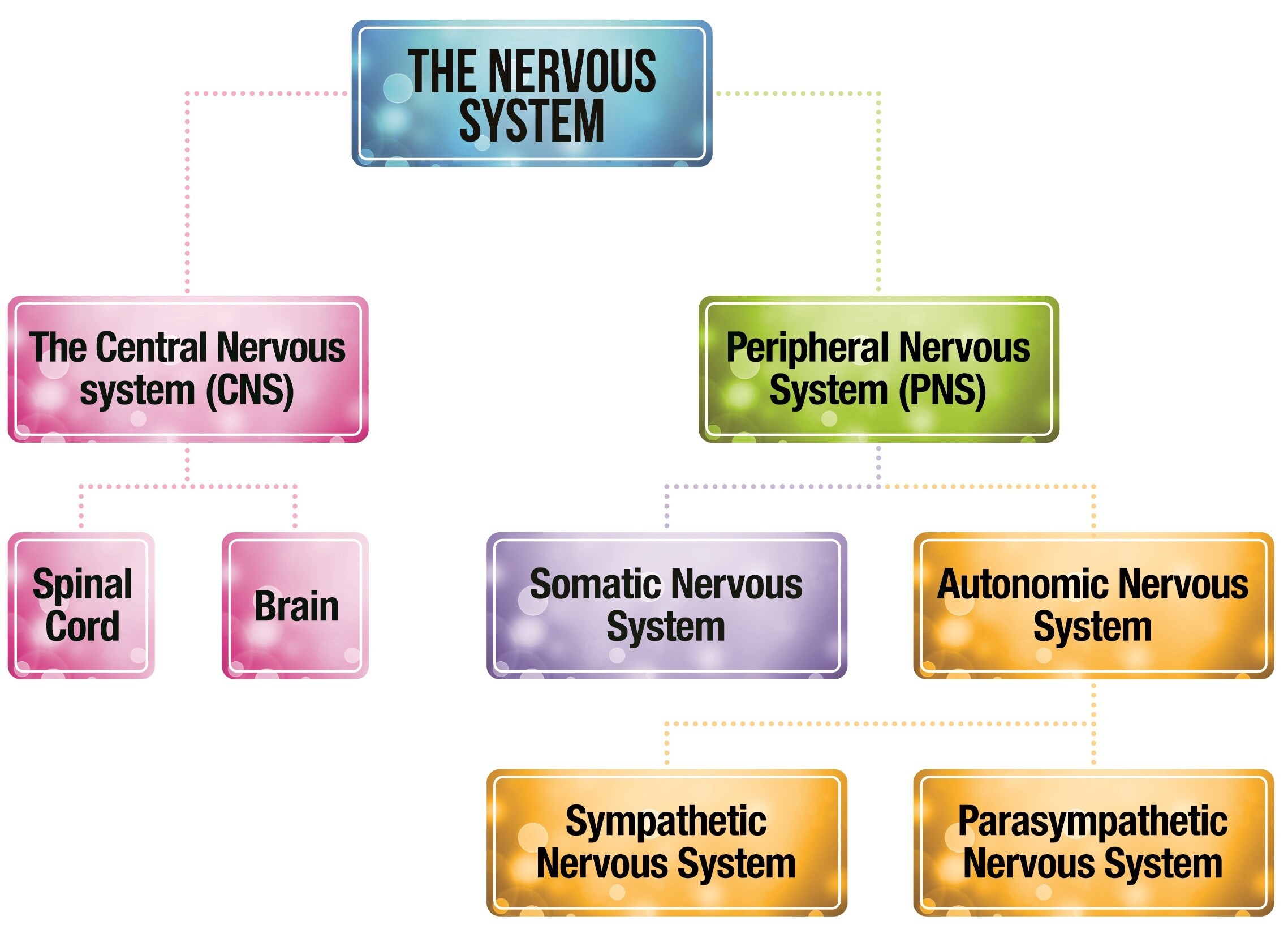 Perinatal Mental Health